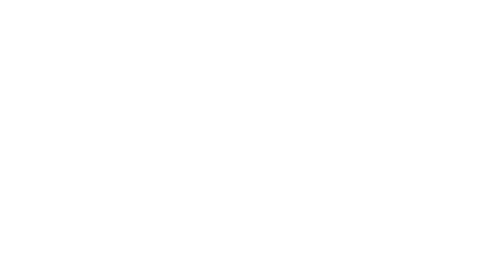 Bruit